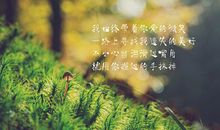 追寻遗失的美好