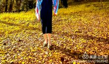 又是秋风秋雨时作文