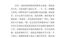 故乡的美景作文500字