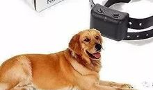 别有一番风味的围墙——知我文化爱我校园征文