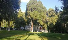 我爱绿意盎然的草坪