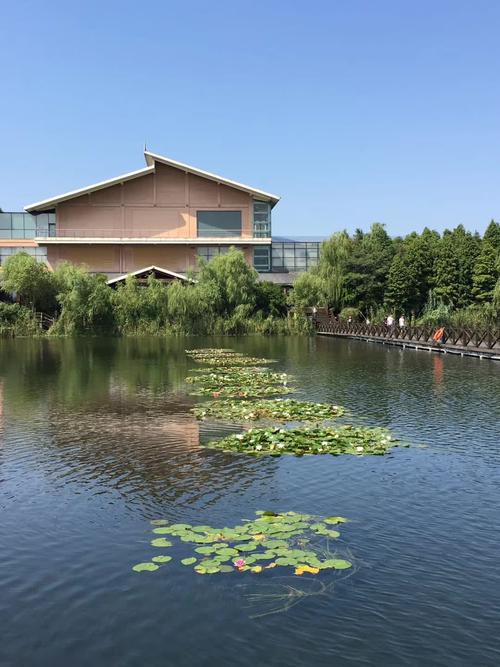 溱湖湿地公园旅行笔记