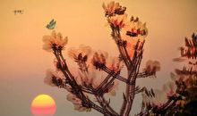 提高修养，宽容对待