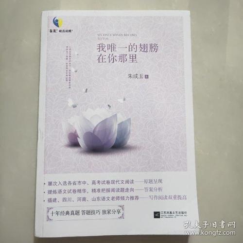 我唯一的翅膀就在那里