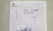 我唯一的翅膀在你那里