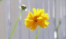 不完美才是人生