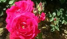 快乐之旅书为伴