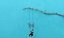 简单快乐的生活