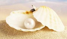 珍祝心灵的珍珠