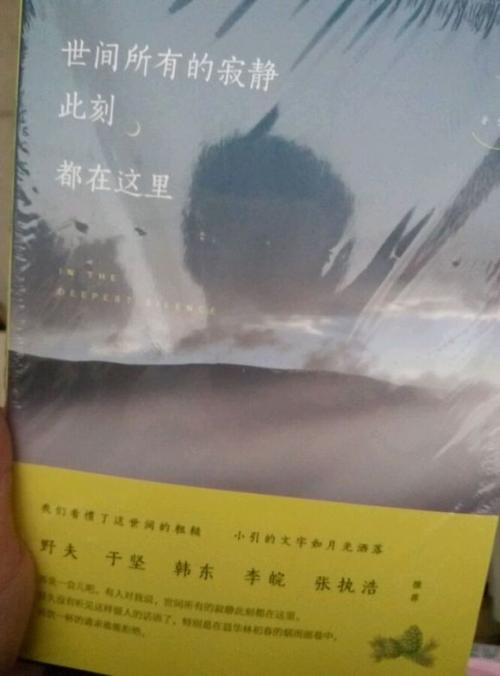 我们今年的十七岁