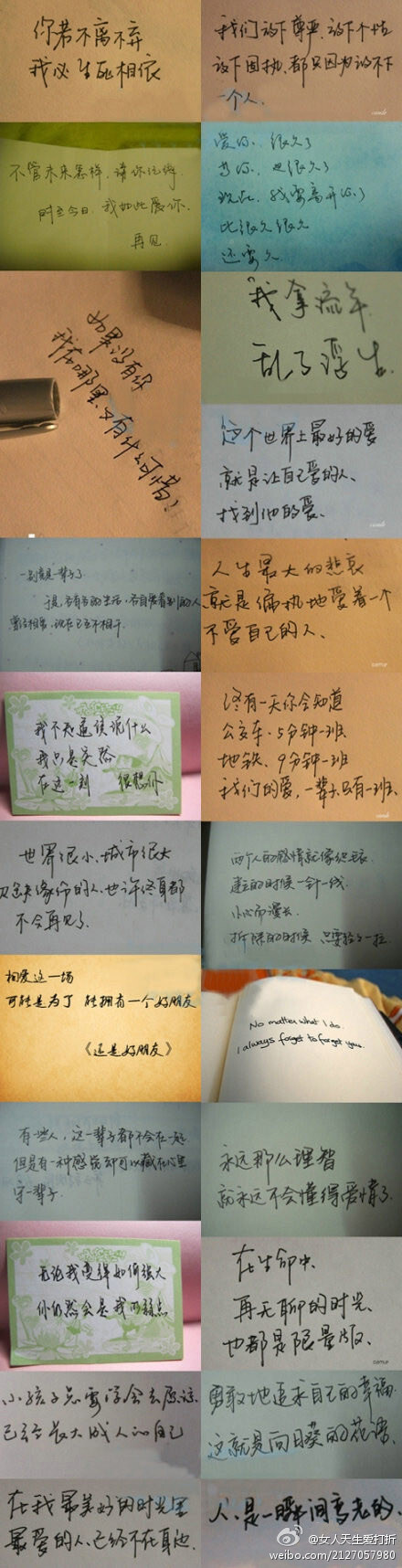 花瓣
