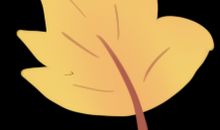 听时光悄悄溜走的声音