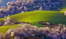 难忘那一份温暖