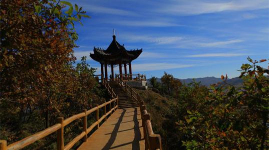 金山公园旅游