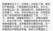 让我握紧你的手作文