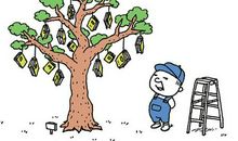 请将我埋在书堆里