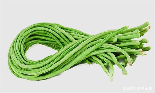 观察豆子