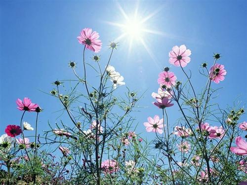 它曾经是美丽的