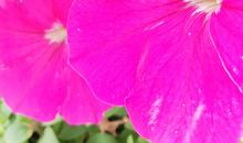 光阴的缝隙里且行且珍惜