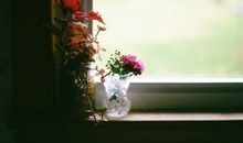 我懂得了坦然以对