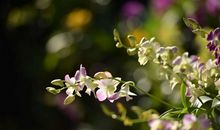 清风徐来景在心田