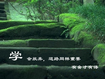 放弃是一个美丽的
