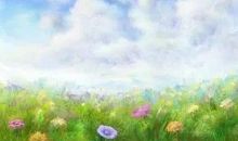 倾听四季之雨的声音