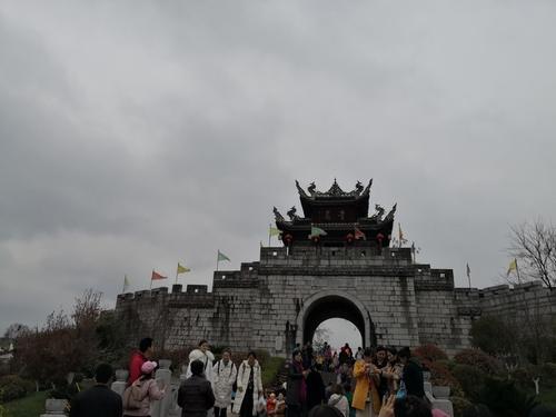 春天的梦想