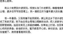 作文微笑的味道