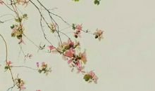 化不开的同窗情结