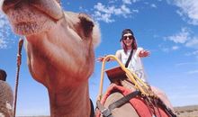 是谁在呼唤世界