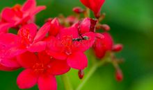 心中绽放的春天