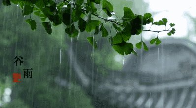 聆听春雨的声音
