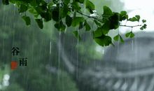 倾听春雨的声音