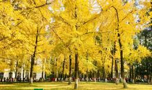 辞旧迎新扬帆起航