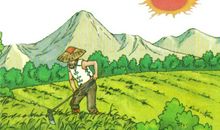 《小稻秧脱险记》续写