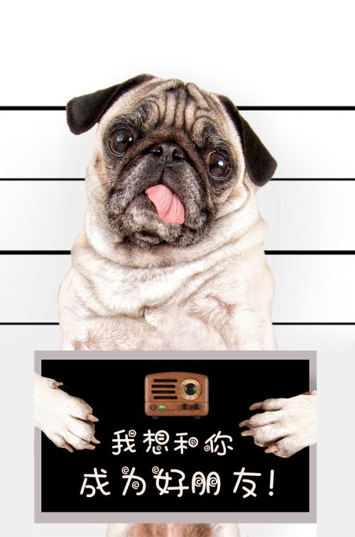 我想成为一个好朋友。
