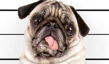 我想和你成为好朋友