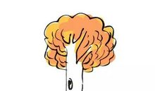 关于法律的漫想