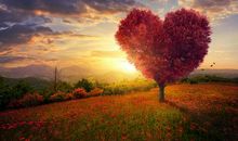 我懂得了天“平”的意义