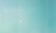 在失去另一支翅膀的日子