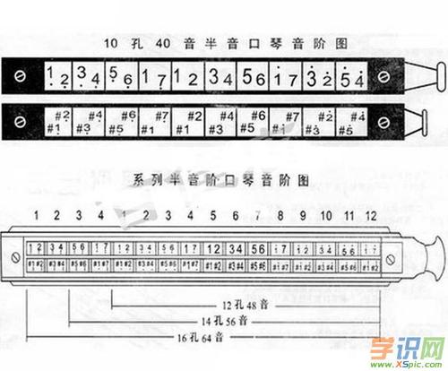 我学会了吹口声。