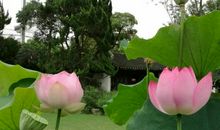 把诗意装在心中