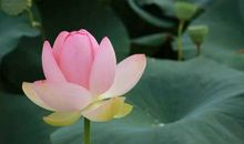 永葆心底的那份纯真