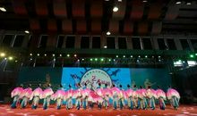 阳光下舞动的青春