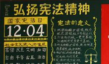 学好宪法做阳光青年