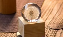 倾听幸福的声音