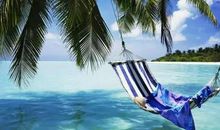 世界上最美的爱