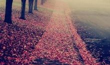 倾听四时之雨的声音