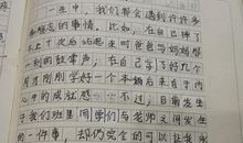 难忘那慈爱的目光